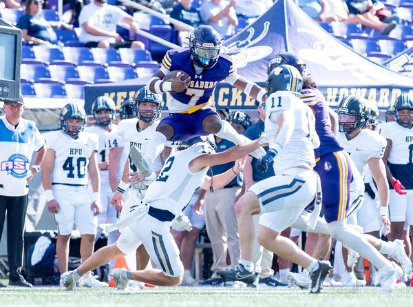 Welche Anzeichen deuten auf eine Allergie bei Haustieren hin?